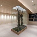 포근한병원 이미지