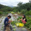 동향농장 이미지