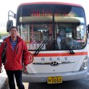 가시리 유채꽃길 이미지