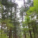 오대산식당(본점) 이미지