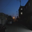 장미이용원 이미지