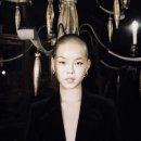 코코나 카카오 검색결과