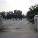 부론초등학교 이미지