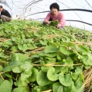 다목농장 이미지