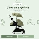 로아네 이미지