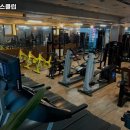 골드헬스클럽 | 삼척시 헬스장 골드헬스클럽 운영시간 리뷰 정보