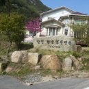 금수산민박 이미지