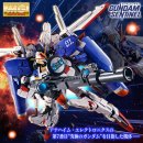 황금 성인 PC 이미지