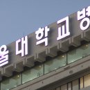 서울대학교병원 이미지