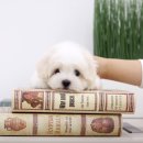 미스터브리더 이미지