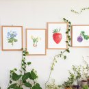 힐링 꽃과 식물 세밀화 이미지