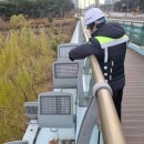 호수부분정비 이미지