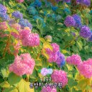 운암지수변공원 이미지