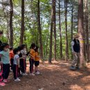 화천유치원 이미지