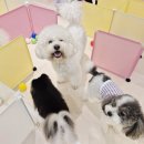 개러리아 송파점 이미지