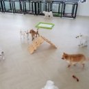 호텔욜로 이미지