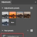 New Adjustment Presets을 만드는 데 사용된 일부 Presets이 회색으로 표시되고 비활성화 되는 경우 이미지