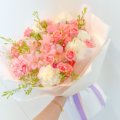 켈리플레르 이미지