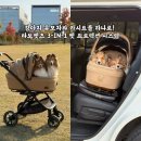 1펫 | 강아지 유모차와 카시트를 하나로! 타보펫츠 3-IN-1 프리미엄 개모차 언박싱