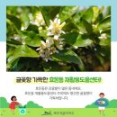 월라봉로 이미지