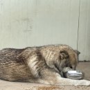 크로스핏글라
