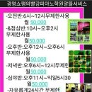 쇼팽의빨강피아노음악학원 이미지