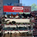 장안자동차병원 | 수원 장난감할인점 토이스타 솔직후기