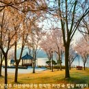 다산생태공원 이미지