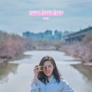 봄바람