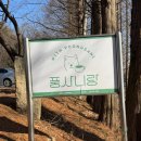 삼백로 | 서울 근교 경기도 무료로 스냅사진을 찍어주는 카페 안성 풍사니랑 아기랑 주말 나들이 하고 온 후기