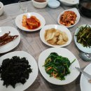 허가네산약초오리 이미지