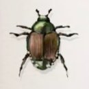 성채농원 이미지