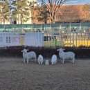 상희특수학교 | 상주 감나무카페 후기!