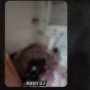 합성동307 이미지