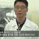 수목토일라이트 이미지