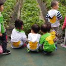 샘물농장 2 이미지