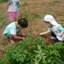 샘터어린이집 이미지