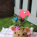 하장초등학교 이미지