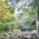 안덕면 감산리 재활용 도움센터 이미지