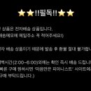 new 피아노와 반주 이미지