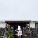 다성상회 | 제주 카페 : 구좌상회 당근케익 인생당케. 솔직후기!♡