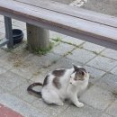 지존카페 PC방 이미지