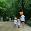 인닥스 이미지