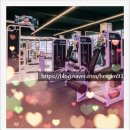 태홍빌딩 | 하안동헬스장 짐샤크 하안점 솔직 후기💪 운동을 시작하니 진짜 달라졌어요✨
