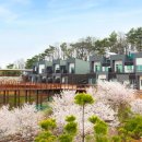 소백산자연휴양림 이미지