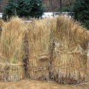 짚풀생활사박물관 이미지