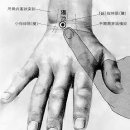 양지-4 이미지