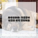 하얀세상의원 | 빛나는 미소, 이제 나도 가질 수 있어요! 하얀 치아를 위한 꼼꼼한 관리 노하우 공개해요