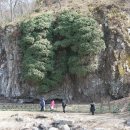 선운산향기