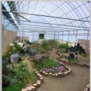 건강나라 이미지